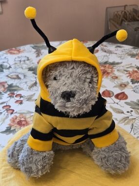 Yellow & Black Bumble Bee Striped Hooded Costume For Small Pets